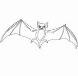 Morcego Colorir Asas sketch template