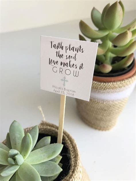 custom mini succulent faith plants the seed love makes it grow