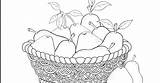 Pears Pages Coloring sketch template