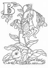 Elfjes Alfabet Elfen Kleurplaten Hadas Kleurplaat Malvorlagen Volwassenen Alfabeto Animaatjes Kleurplaatjes Blumen Jung Fairy Lapin Malvorlage Erwachsene Numeros Elven Bluebell sketch template