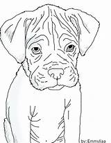 Boxer Coloring Pages Puppy Dog Dogs Drawing Lineart Print Draw Printable Astounding Wonderful Color Getdrawings Getcolorings Deviantart sketch template