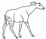 Okapi Printmania sketch template