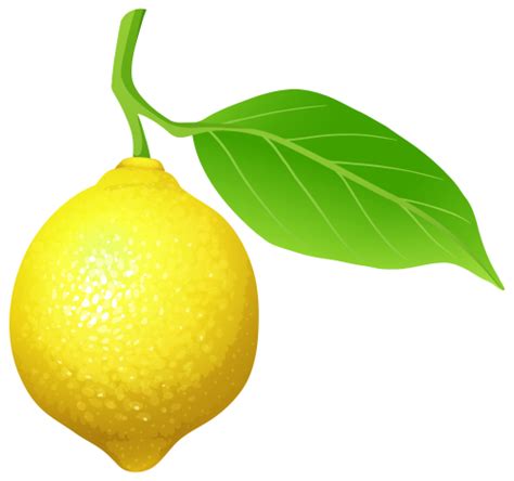 lemon clip art web clipart wikiclipart