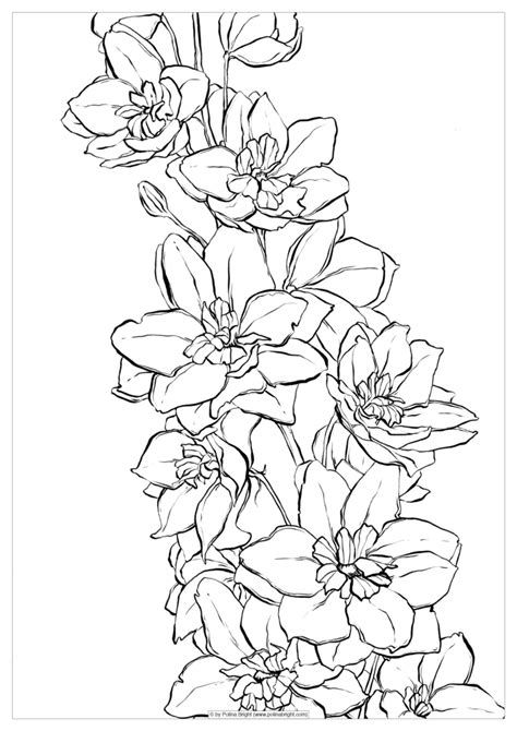 watercolor coloring pages  getdrawings