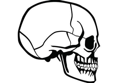 skull teeth drawing at free for personal