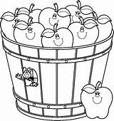 Manzanas Manzana Canasto Barrel Frutas Apples 505x Colorea Colorearimagenes Jugos Pasteles sketch template
