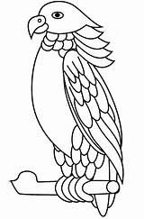 Parrot Imperialis Amazona Printable Dibujosonline Categorias sketch template