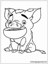 Moana Pua Pig Pages Coloring Colouring Color Coloringpagesonly Choose Board Cute Chicken sketch template