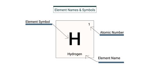 describe  chemical symbols   represent elements amyaanceschneider