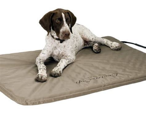 heated dog bed reviewed november  buyers guide