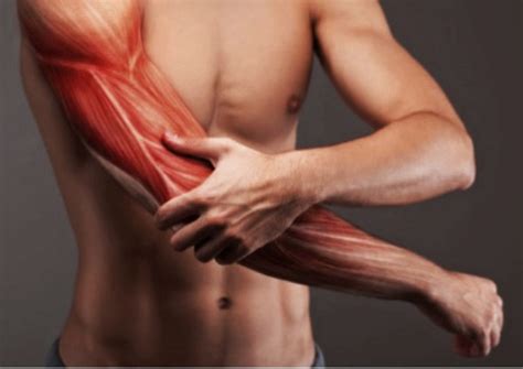 muscle spasms     manage  fashion enzyme