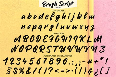 brush script handmade font  script font bundles
