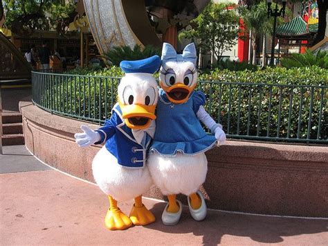 209 best images about donald duck on pinterest