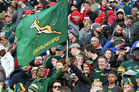 sa rugby calls  fans  wear green  friday  support  world cup bid