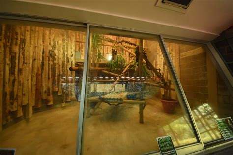 monkey indoor enclosure zoochat