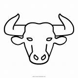 Touro Toro Bull Taurus sketch template