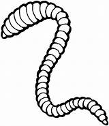Worm Regenwurm Worms Earthworm Colorare Ausmalbilder Disegni Lombriz Supercoloring Lombrico Tierra Lombrices Ligne Tiere Langer Clipart Malvorlage Earthworms Regenwürmer sketch template