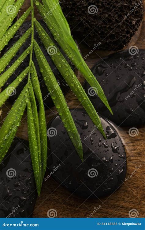 spa  life  green leaf stock image image  green grass