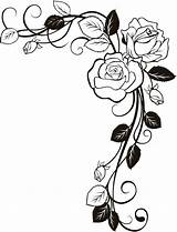 Rose Coloring Border Vine Drawing Patterns Stencil Pages Templates Adult Tattoo Embroidery sketch template