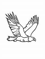 Colorat Vultur Vulturi Planse Cu Desene Animale sketch template