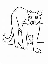 Puma Cougar Animaux Coloriage Colorier Coloriages Childrencoloring sketch template