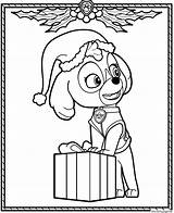 Patrouille Noel Paw Skye Cocker Adorable Colouring Weihnachten Precious скай Ausmalbilder раскраска Patrulla Jecolorie Canina Coloringhome sketch template