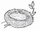 Nest Cartoon Coloring Birds Visit Colouring Pages Sparrow sketch template