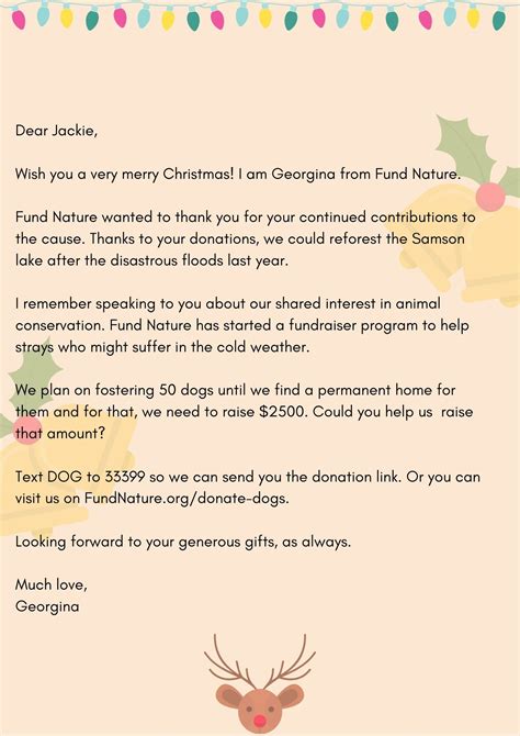 sample christmas donation request letter