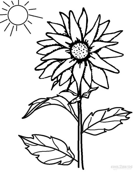 printable sunflower coloring pages  kids