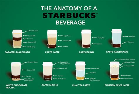 Anatomy Of Starbucks Beverage Inforgraphic Breaks Down Pumpkin Spice