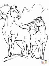 Cavalo Colorear Lucky Stallion Colouring Cavalos Cimarron Cheval Kolorowanki Konie Desenho Kolorowanka Cavalli Caballo Kleurplaten Caballos Ausmalbild Bilderesultat Disegno Cavallo sketch template