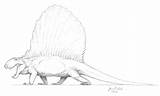 Dimetrodon Coloring Pages Dinosaur Genus Dozen Named Species Since Been Over sketch template
