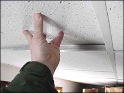 mobile home ceiling panels replacement repair  rebuild mobile home repair