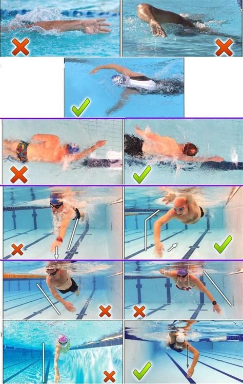Claves Para Nadar Crol Tips HidrodinÁmicos Natación Triatlón My Xxx