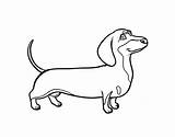 Coloring Dachshund Dog Coloringcrew sketch template