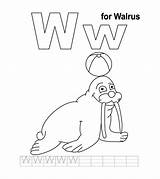 Coloring Letter Pages Walrus Color Toddler Momjunction Learn Will Top Coloringbay sketch template