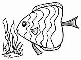 Ikan Mewarnai Paud Kumpulan Marimewarnai sketch template