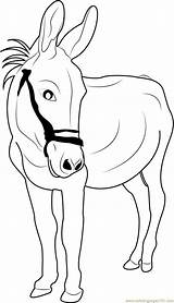 Donkey Balaam Marvelous sketch template