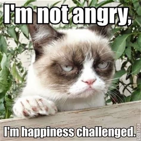 im  angry im happiness challenged   funny memes