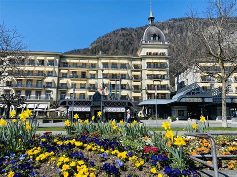 victoria jungfrau grand hotel spa interlaken  luxury meets