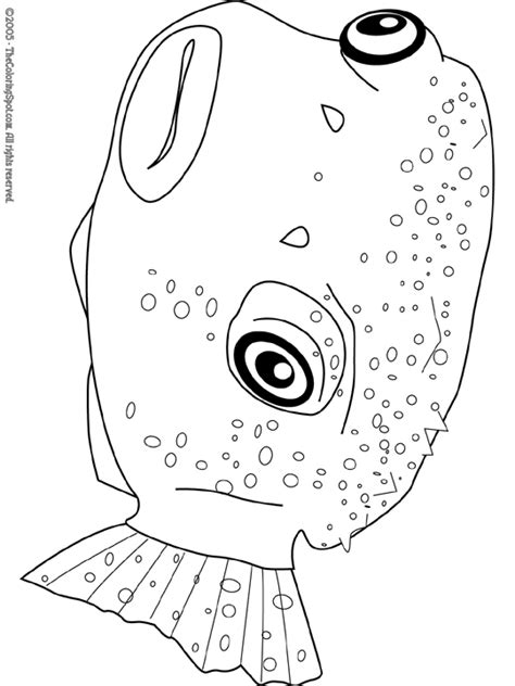 pufferfish coloring page audio stories  kids  coloring pages