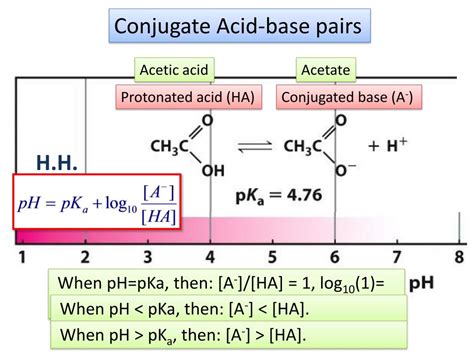 conjugate acid base pairs powerpoint    id