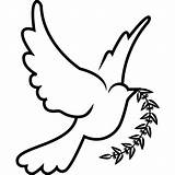 Dove Holy Spirit Drawing Clipart Bible Drawings Symbol Symbols Vector Catholic sketch template