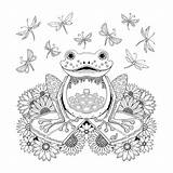 Johanna Basford Frog Colouring Adultes Frosch Rane Enchanted Malvorlagen Adulte Ausmalbild Ranocchio Foret Enchantee Mosaico Adulti Encantada Floresta Designkids Vk sketch template