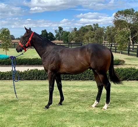 2021 march late online sale inglis digital online auctions