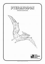Coloring Pages Pteranodon Cool Dinosaurs Kids Printable Pteranodons Two Activities sketch template