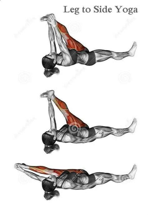 leg  side yoga anatomy yoga asanas yoga fitness