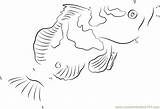 Grouper Colouring Fish Pages Dots sketch template