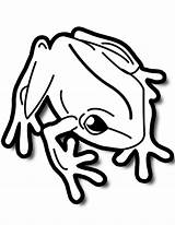 Rana Sapo Frosch Frogs Jumping Stampare Supercoloring Colorato Disegnare Anfibi Pluspng Leap Amphibians Creazilla Clipartmag Kategorien Clipartkey Pngitem sketch template