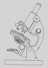 Microscope Mikroskop Compound Clker Spielzeug Laboratorium Technic Garis Seni Ilustrasi صوره Microscopes Instrumente Malvorlagen Gratis Sztuki Ilustracji Linia Mikroskopu Wektorowych sketch template